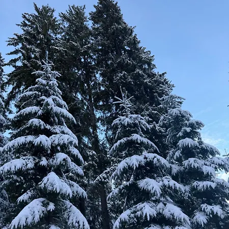Deluxe Jasna Демяновская долина
