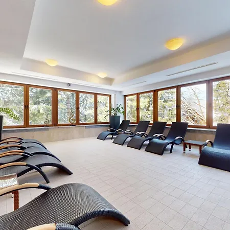 Deluxe Jasna Апартаменты Демяновская долина